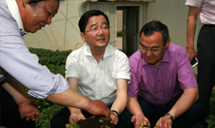 省科技廳領(lǐng)導及新華社來(lái)我司參觀(guān)全程馬鈴薯機