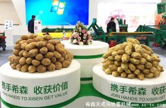 熱潮不斷，2017武漢農機展會(huì )現場(chǎng)直播（第二天）